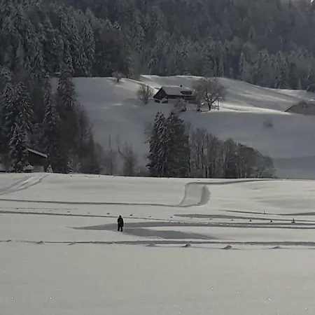 Bechter * Hittisau