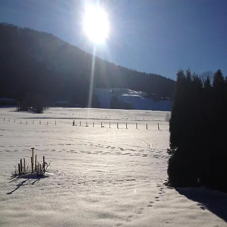 Apartment Bechter Hittisau